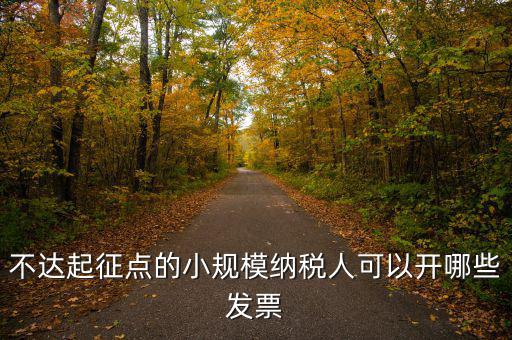 小規(guī)模納稅人能使用什么發(fā)票，建筑類小規(guī)模納稅人購(gòu)買什么發(fā)票