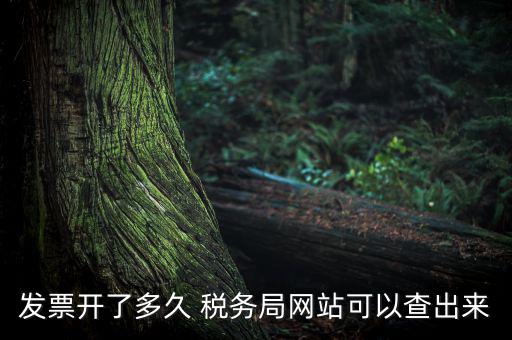 稅局一般什么時(shí)候查發(fā)票，增值稅發(fā)票開(kāi)多久能在國(guó)家稅務(wù)局查到