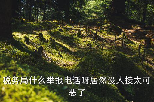什么叫稅務(wù)舉報(bào)，稅務(wù)局什么舉報(bào)電話呀居然沒人接太可惡了