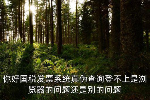 新疆國(guó)稅發(fā)票查詢?yōu)槭裁催M(jìn)不去，為什么國(guó)稅官網(wǎng)中電子發(fā)票查詢打不開