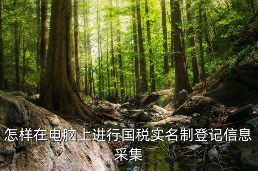 國(guó)稅采集需要什么資料，我想問一下報(bào)國(guó)稅時(shí)有個(gè)發(fā)票信息采集在里面輸入什么信息呢
