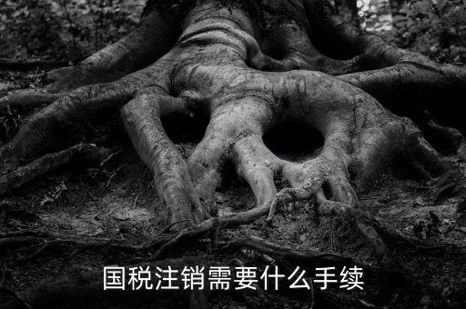 國稅局注銷要什么手續(xù)，國稅注銷需要什么手續(xù)