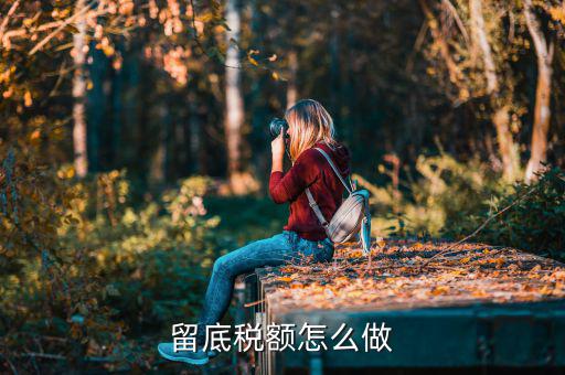 掛賬留底稅額是什么意思，留底稅額怎么做