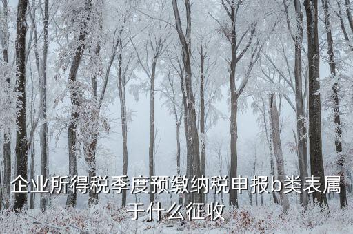 所得稅b類按什么征收，企業(yè)所得稅季度預繳納稅申報b類表屬于什么征收