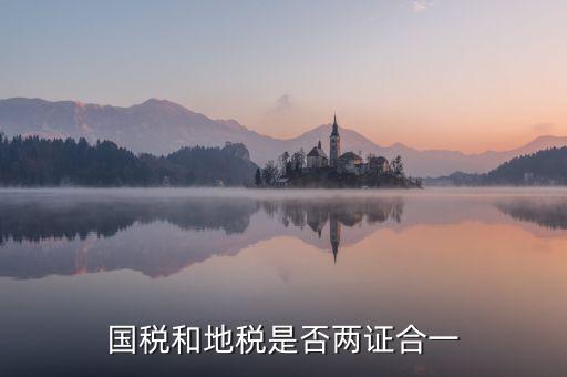 國稅的兩證合一是什么意思，國稅和地稅是否兩證合一