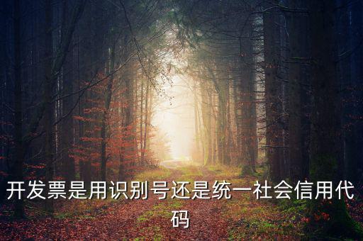 發(fā)票填寫統(tǒng)一社會代碼是什么，開發(fā)票要的稅號是統(tǒng)一社會代碼證號嗎