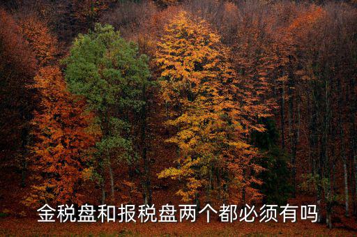 申報盤是什么，保險兼業(yè)代理人資格申報電腦數(shù)據(jù)盤是什么意思