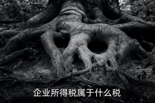 企業(yè)所得稅是什么稅，所得稅包括什么稅