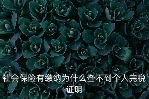 為什么查不到納稅記錄，社會保險有繳納為什么查不到個人完稅證明