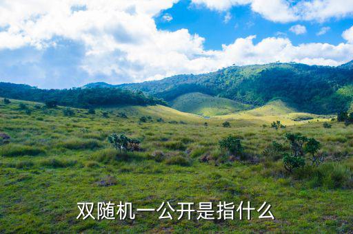 稅務(wù)雙隨機(jī)一公開(kāi)是什么意思，雙隨機(jī)一公開(kāi)屬于什么用語(yǔ)比如習(xí)語(yǔ)標(biāo)語(yǔ)或者成語(yǔ)之類的因?yàn)?/></a></span><span id=