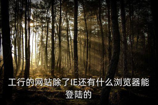 開票登陸的瀏覽器是什么，工行的網(wǎng)站除了IE還有什么瀏覽器能登陸的