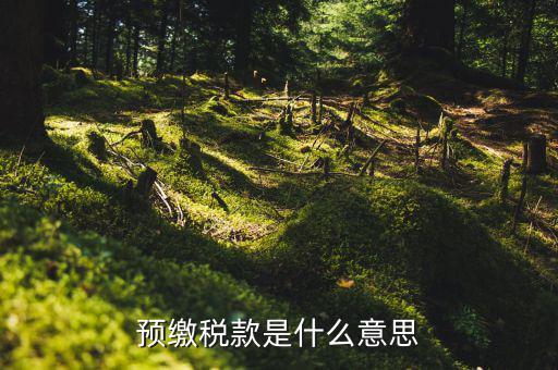 為什么預(yù)繳稅款，預(yù)繳稅款是什么意思