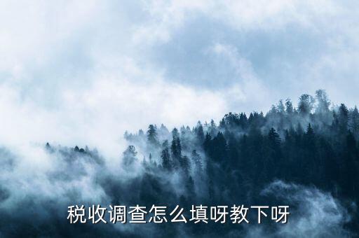 稅收調(diào)查主要調(diào)查什么，企業(yè)所得稅稅收調(diào)查