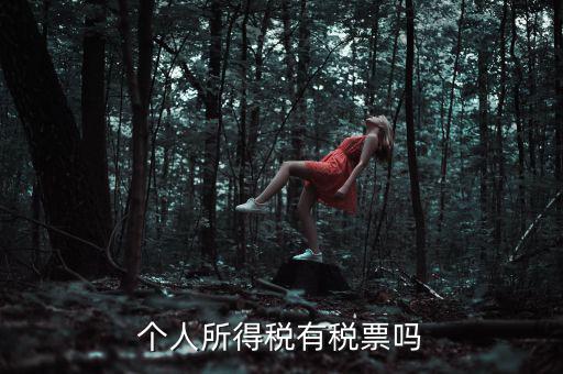 個(gè)人所得稅是什么發(fā)票，個(gè)人所得稅有稅票嗎