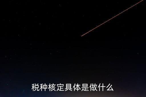 票中核定是什么核定的，哪些情況下要進行國稅票種核定