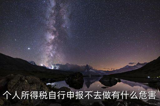 個稅不申報有什么后果，個人所得稅自行申報不去做有什么危害
