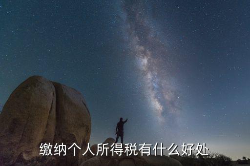 個(gè)人報(bào)稅有什么用，個(gè)人自行納稅申報(bào)有什么好處