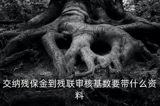 去稅務申報殘保金帶什么資料，去地稅交殘疾人保障金需要什么資料