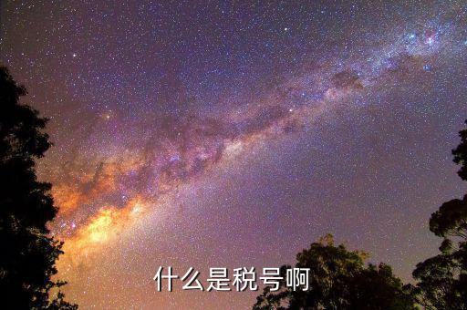 公司稅號(hào)是什么，公司的稅號(hào)一般有多少位