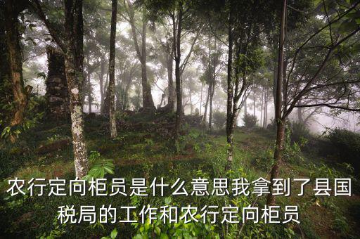 國(guó)稅值班是什么意思，農(nóng)行定向柜員是什么意思我拿到了縣國(guó)稅局的工作和農(nóng)行定向柜員
