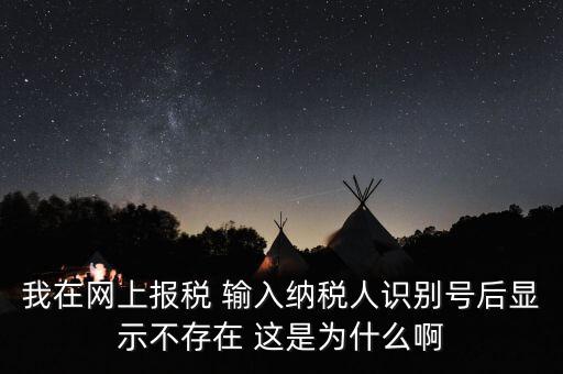 我在網上報稅 輸入納稅人識別號后顯示不存在 這是為什么啊