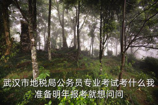 省地稅局復(fù)試考什么，武漢市地稅局公務(wù)員專業(yè)考試考什么我準備明年報考就想問問