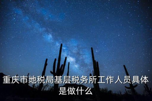 重慶地稅局前臺做什么的，重慶市地稅局基層稅務(wù)所工作人員具體是做什么