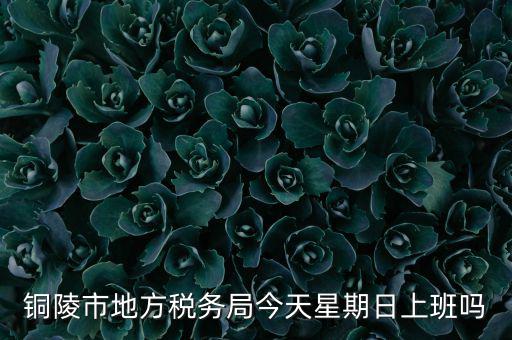 銅陵地稅局在什么地方，銅陵市地方稅務(wù)局今天星期日上班嗎