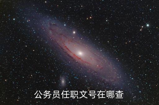 什么地方可以查任職文號(hào)，公務(wù)員任職文號(hào)在哪查