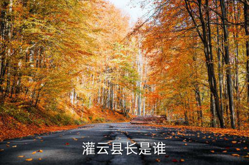 灌云國(guó)稅局局長(zhǎng)叫什么，國(guó)家稅務(wù)局局長(zhǎng)叫什么