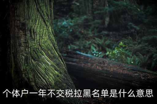 什么是納稅信用黑名單，個體戶一年不交稅拉黑名單是什么意思