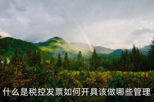 申請稅控是什么，什么是稅控盤申請稅控盤需要什么手續(xù)