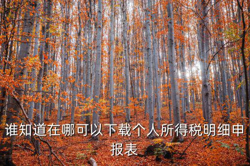 下載什么看申報(bào)稅，誰(shuí)知道在哪可以下載個(gè)人所得稅明細(xì)申報(bào)表