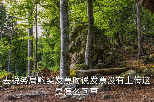 去稅務局購買發(fā)票時說發(fā)票沒有上傳這是怎么回事