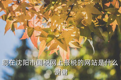 國稅交稅的網(wǎng)站是什么，現(xiàn)在沈陽市國稅網(wǎng)上報(bào)稅的網(wǎng)站是什么 謝謝
