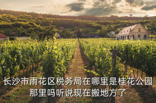 長沙國稅局在什么地方，長沙國稅局在哪