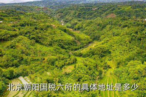 國稅六辦指什么，北京朝陽國稅六所的具體地址是多少