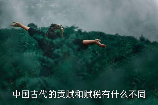 賦稅古代指什么，秦朝賦稅嚴重被稱為什么的