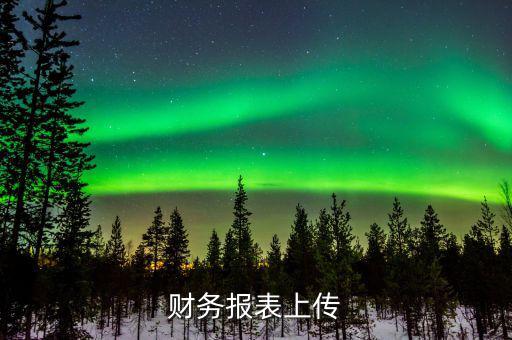 每年上傳什么財務(wù)報表，報哪些稅時需要上傳財務(wù)報表麻煩詳細(xì)一點報增值稅時怎樣上傳財