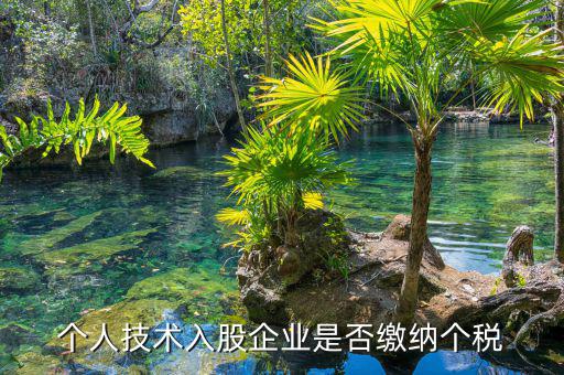 個(gè)人專利入股繳什么稅，請(qǐng)教稅法高手個(gè)人專利技術(shù)入股需繳稅嗎