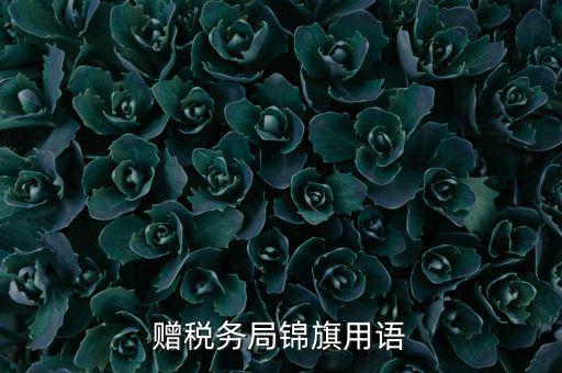 贈送稅務所錦旗寫什么，贈稅務局錦旗用語