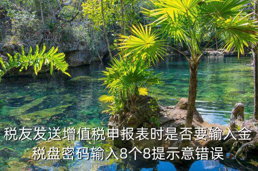 金稅盤(pán)的密碼是什么意思，稅友發(fā)送增值稅申報(bào)表時(shí)是否要輸入金稅盤(pán)密碼輸入8個(gè)8提示意錯(cuò)誤