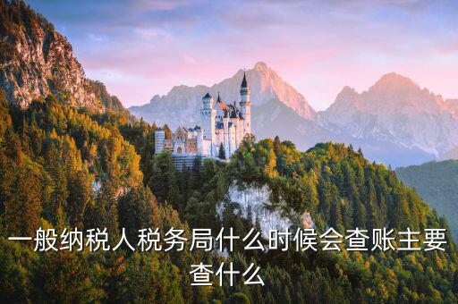稅局什么時間搖號稽查，一般納稅人稅務局什么時候會查賬主要查什么