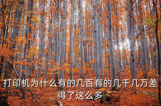 發(fā)票打印機(jī)為什么這么貴，為什么針式打印機(jī)還是那么貴