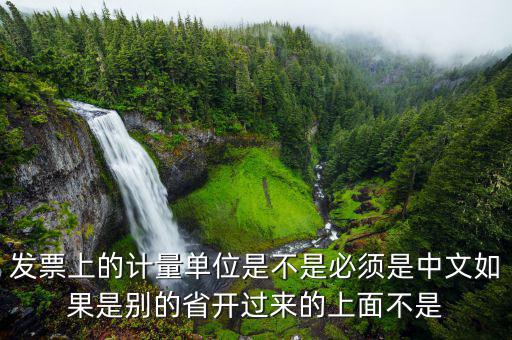發(fā)票計(jì)量單位是什么，發(fā)票上的計(jì)量單位是不是必須是中文如果是別的省開過來的上面不是
