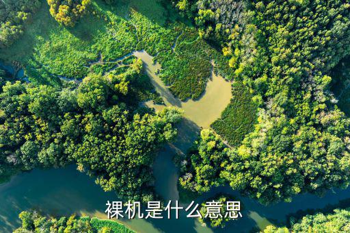 手機(jī)辦稅是什么意思，國(guó)稅局實(shí)名認(rèn)證是什么意思有什么法律責(zé)任么
