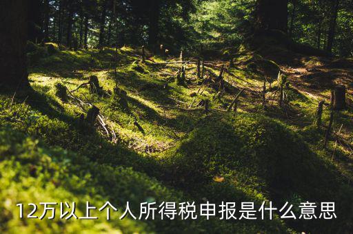 個(gè)稅12萬申報(bào)是什么意思，12萬以上個(gè)人所得稅申報(bào)是什么意思