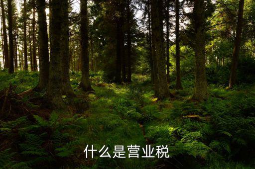 營(yíng)業(yè)稅是什么行為稅，請(qǐng)問(wèn)什么是營(yíng)業(yè)稅