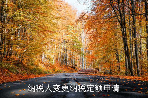 變更納稅定額什么意思，調(diào)整應(yīng)納稅所得額什么意思