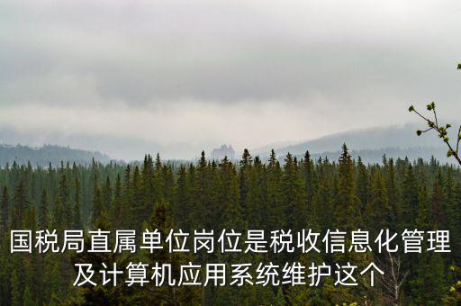 什么是國(guó)稅信息化，信息化在稅務(wù)管理中有什么作用